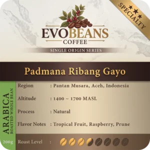 Aceh Padmana Ribang Gayo