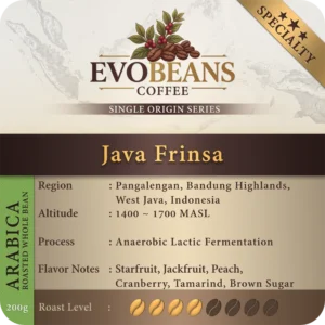 Java Frinsa