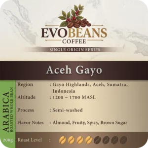 Aceh Gayo