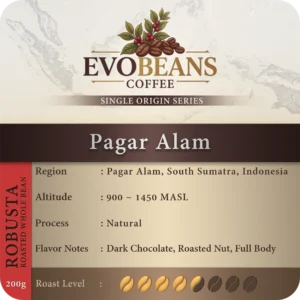 Pagar Alam