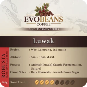 Robusta Luwak