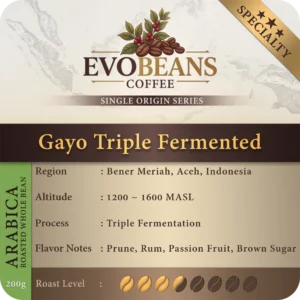 Gayo Triple Fermented
