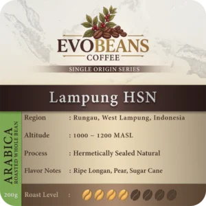 Lampung HSN