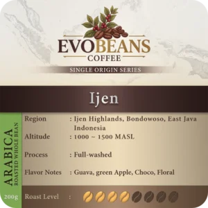 Ijen Full Washed
