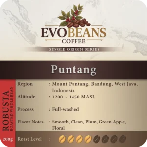 Puntang