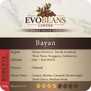 Bayan